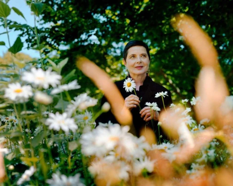 Adult woman holding daisy in a field of white daisies in a lush green outdoor setting under a canopy of green trees.