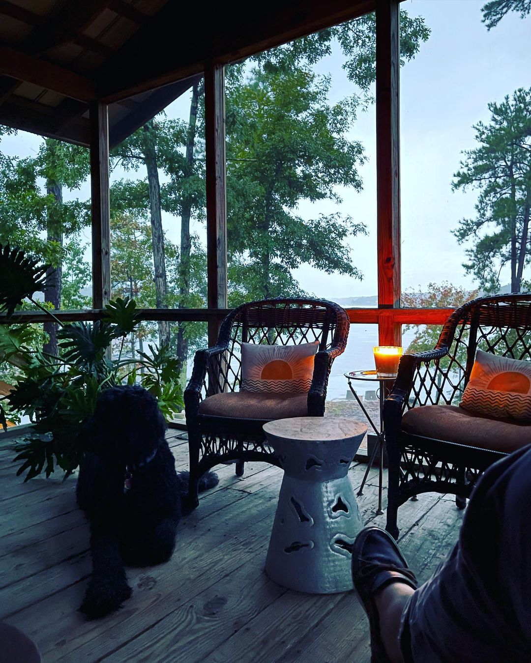 Cozy screened porch with dog, wicker furniture, lake view, and relaxed atmosphere in natural lighting.