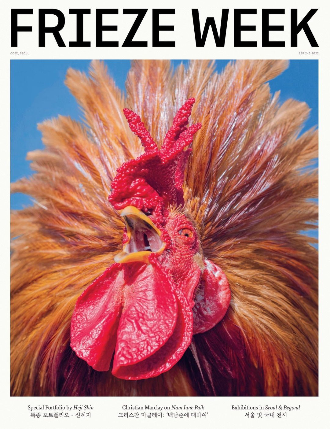 Magazine cover featuring a close-up portrait of a rooster with red and orange feathers against a bright blue sky background.