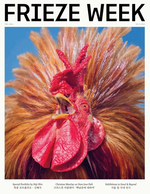 Magazine cover featuring a close-up portrait of a rooster with red and orange feathers against a bright blue sky background.