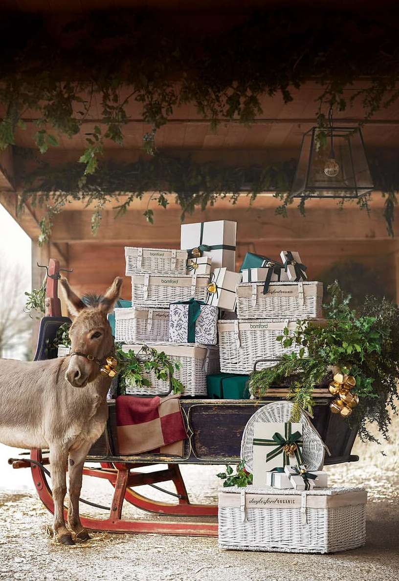 A donkey stands beside a sled loaded with Christmas gift baskets wrapped in white paper and tied with green ribbons in an indoor setting.