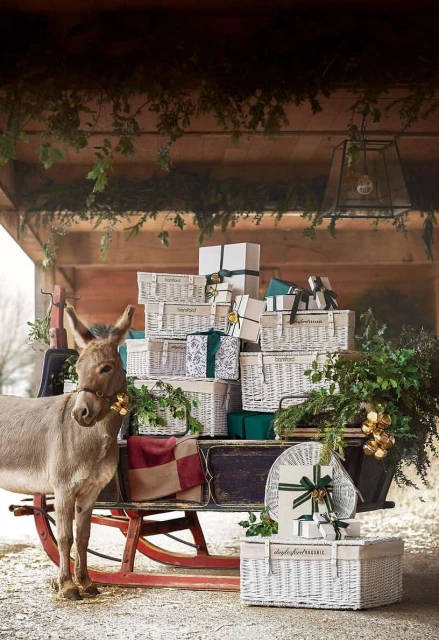 A donkey stands beside a sled loaded with Christmas gift baskets wrapped in white paper and tied with green ribbons in an indoor setting.