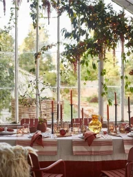 Long dining table set with candles and glassware inside a sunlit greenhouse draped with hanging foliage and vines.