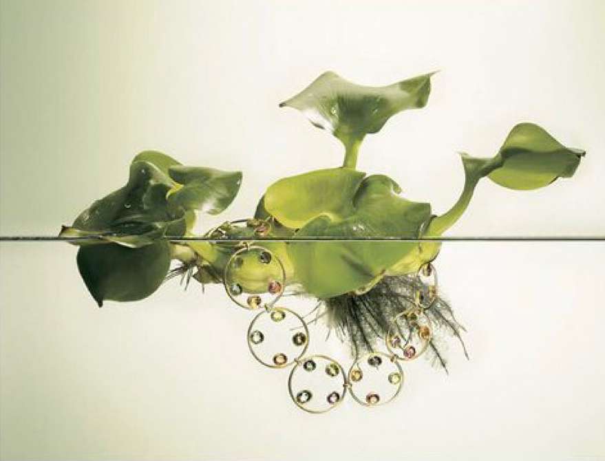 Necklace with colored gemstones floating on water and aquatic plants for jewellery, art, and nature visuals. Studio lighting.