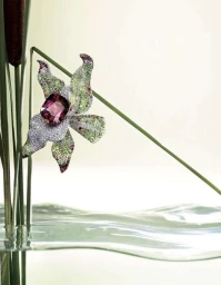 Close-up of an ornate diamond and gemstone flower brooch shaped like an orchid, suspended near green reed stems over water.