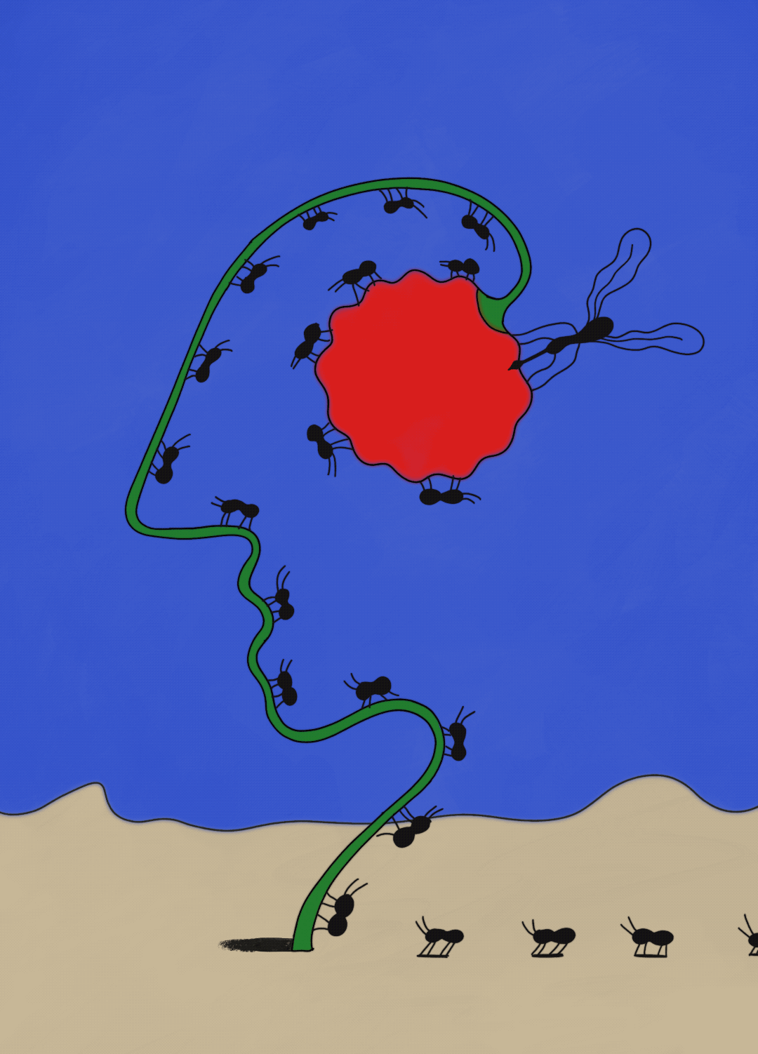 Whimsical illustration of ants on a flower stem, showcasing a red flower, set against a blue and beige background. Art print.