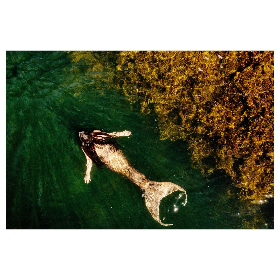 Underwater shot of a woman with long dark hair and a shimmering golden mermaid tail swimming in dark green and gold-colored water.