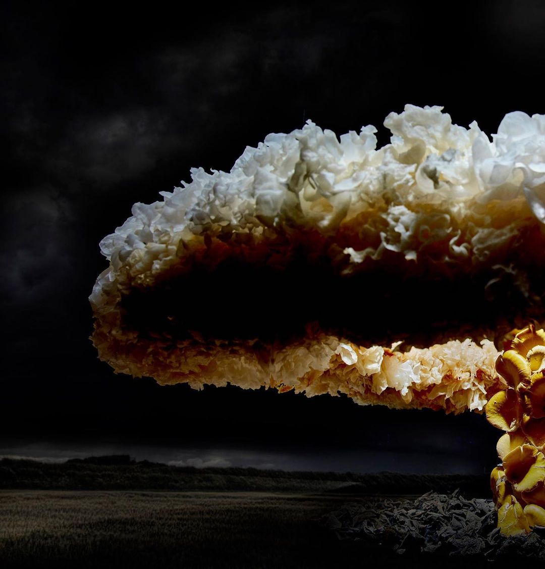 Surreal photograph of a mushroom cloud-like explosion of white and yellow material, set against a dark and stormy landscape backdrop.