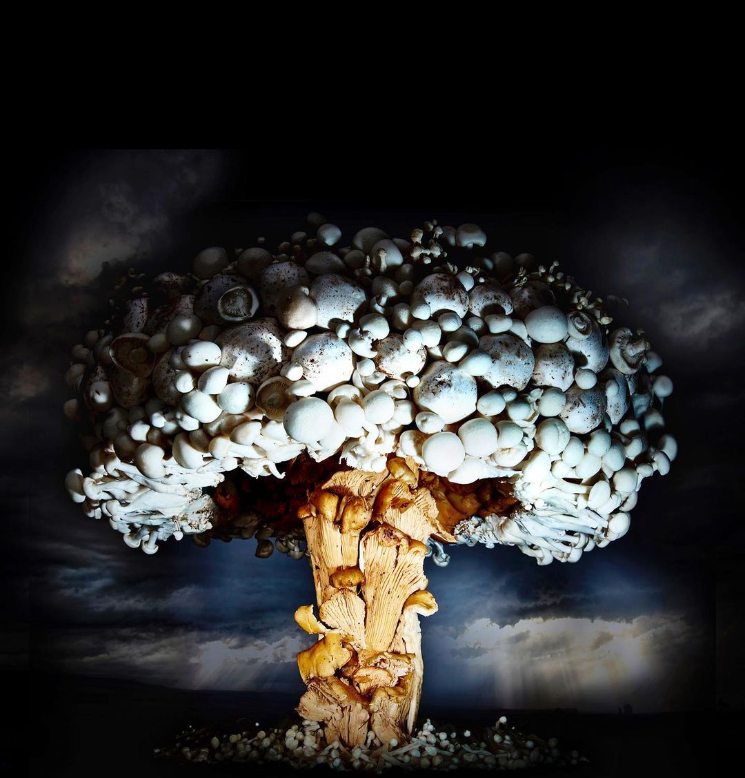 Mushroom cloud of various mushrooms against a dark, stormy sky. Food art, nature photography, fungi, organic texture, and dramatic lighting.