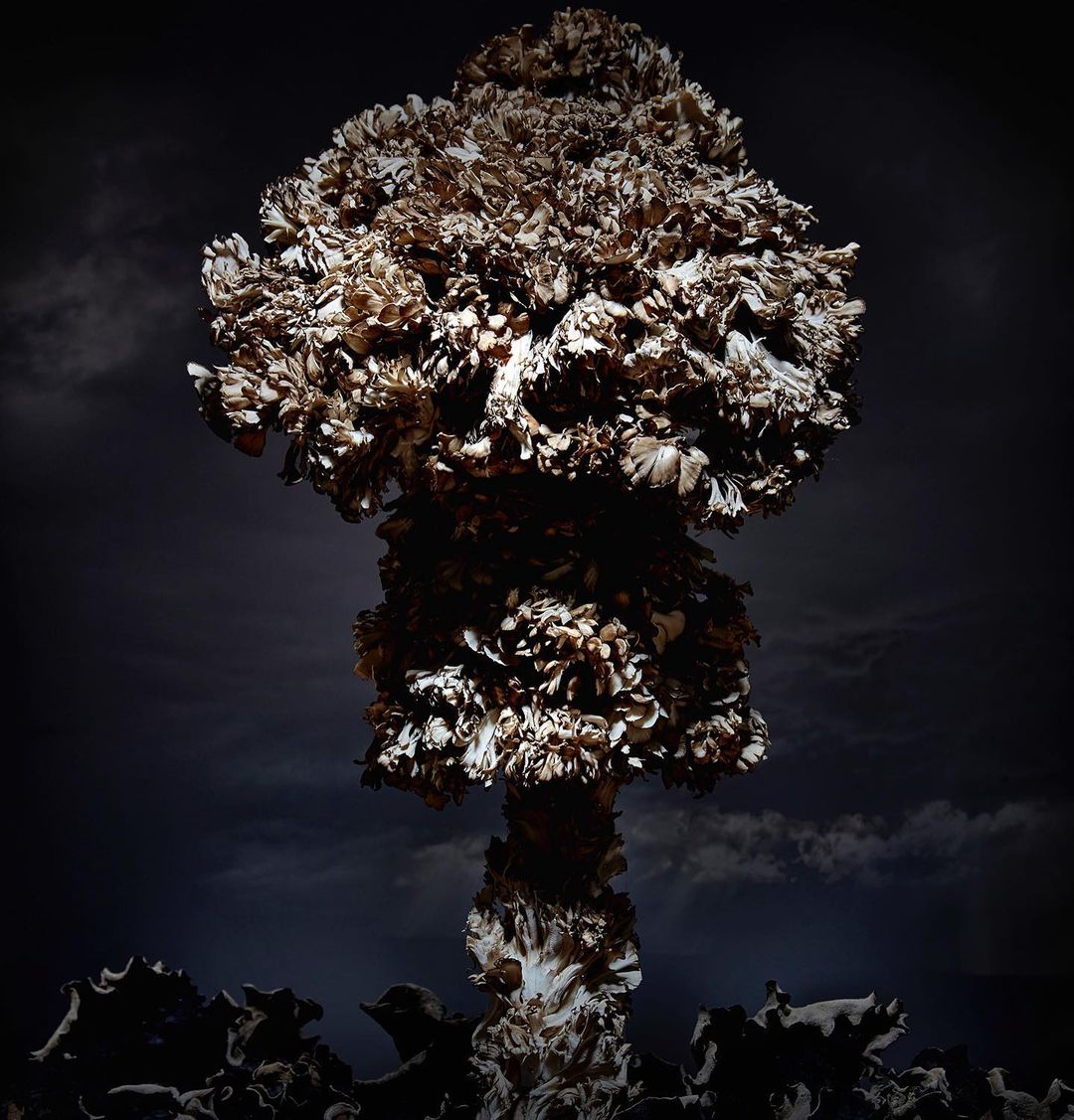 Abstract mushroom cloud formation of flowers in a dark, moody setting with a stormy sky. Unique floral art piece.