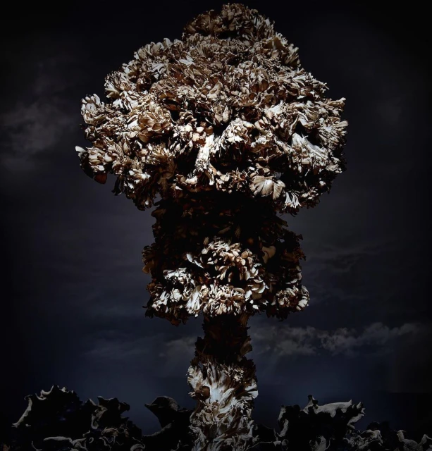 Abstract mushroom cloud formation of flowers in a dark, moody setting with a stormy sky. Unique floral art piece.