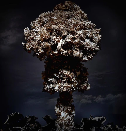 Abstract mushroom cloud formation of flowers in a dark, moody setting with a stormy sky. Unique floral art piece.
