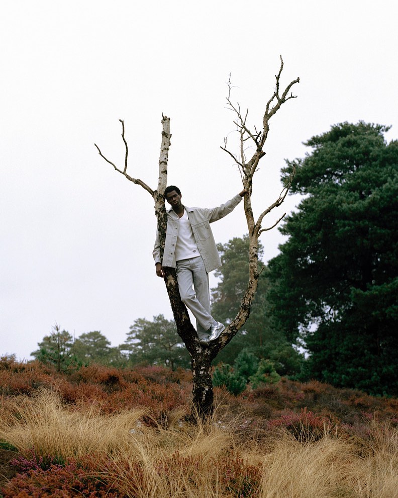 An African-American adult male stands in the fork of a bare birch tree in a field with green trees against a cloudy sky background.