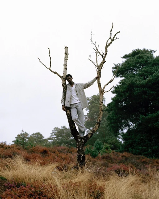 An African-American adult male stands in the fork of a bare birch tree in a field with green trees against a cloudy sky background.