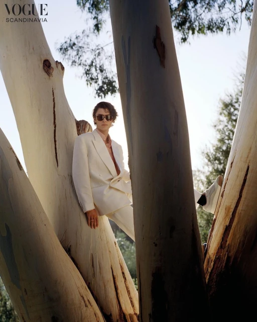 Fashion shot of a woman in a white suit posing amongst tree branches with sunlight in an outdoor setting, editorial style.