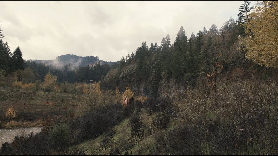 Scenic view of a forest with evergreens, deciduous trees in autumn colors, and a mountain range partially obscured by low-lying fog.