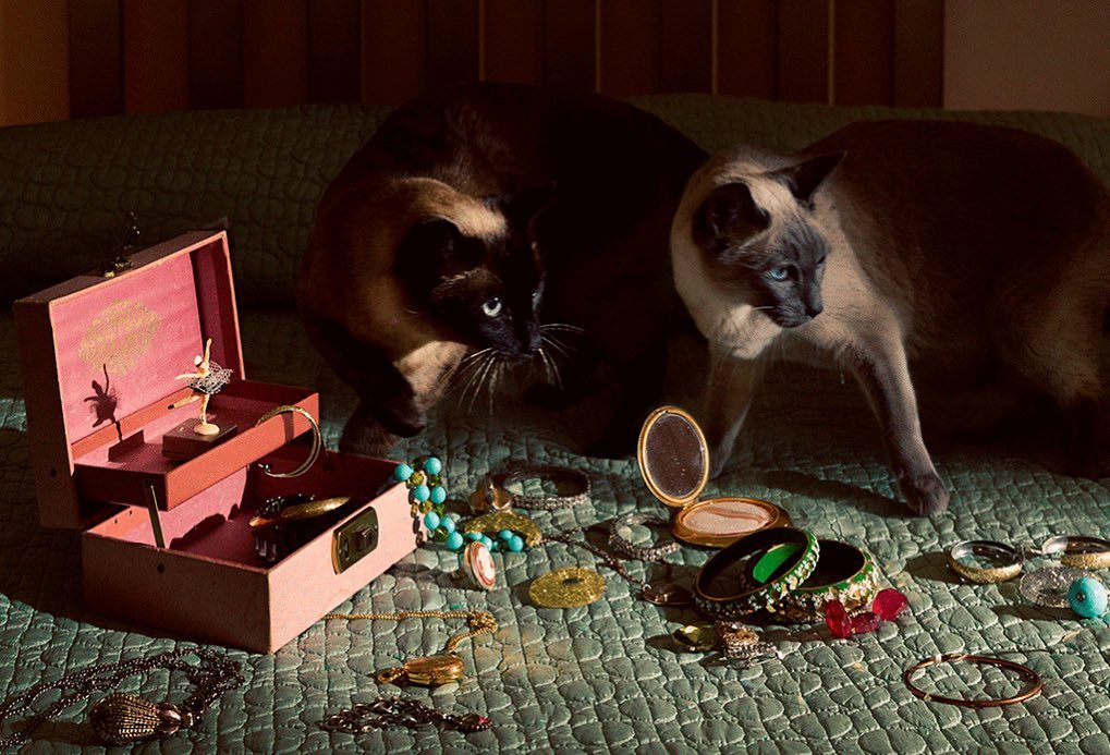 Two Siamese cats on a green quilted bed with jewelry, including necklaces, bracelets, earrings, and a pink ballerina jewelry box.