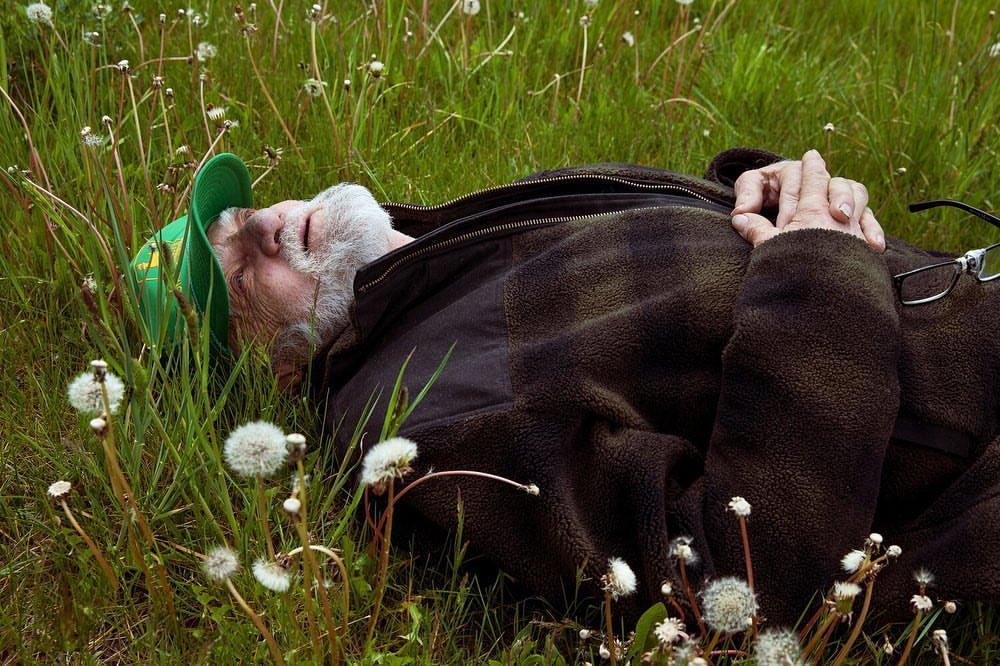 Elderly man with white beard and green hat relaxes lying in tall green grass with dandelions, wearing a brown fleece jacket outdoors.