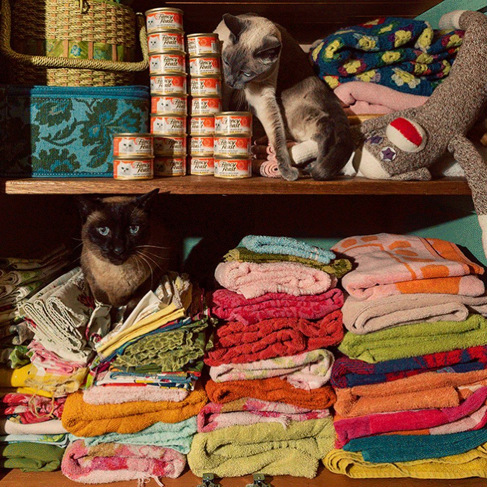 Two Siamese cats sit on a shelf among neatly folded towels, a sock monkey, a basket, and a tower of Fancy Feast cat food cans.