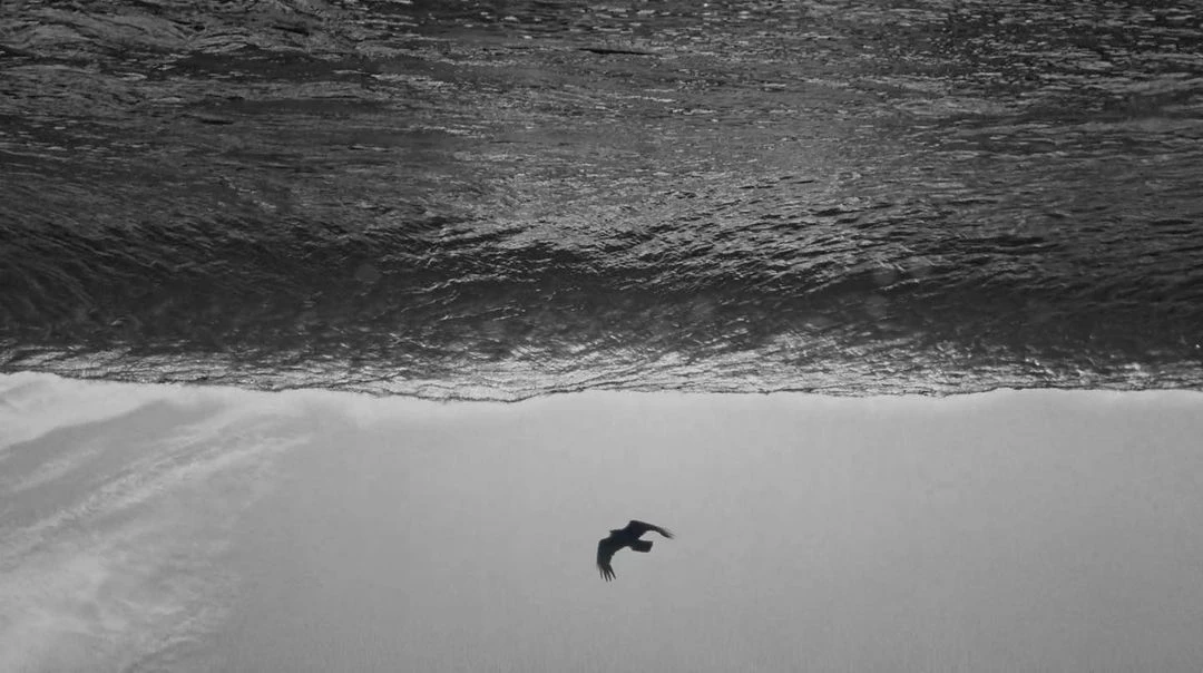 Black and white photography featuring an ocean wave and a bird flying beneath it with a monochrome sky backdrop and textured water.