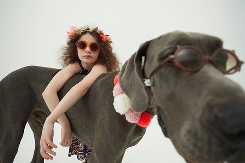 Young girl with curly hair and sunglasses sits atop a grey Great Dane dog wearing matching sunglasses against a white backdrop.