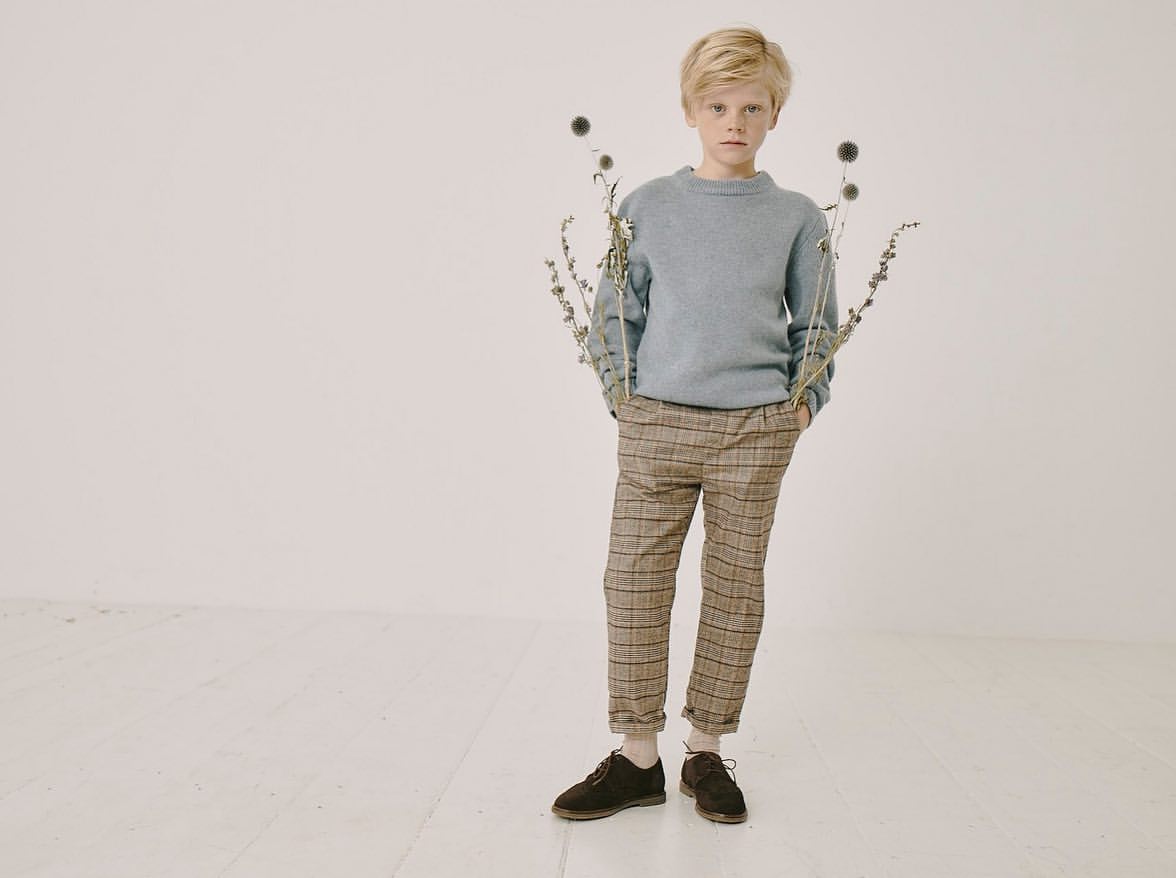 Young boy poses in studio wearing a blue sweater and plaid pants. He is holding small dry plants on the sides. Fashion shot.