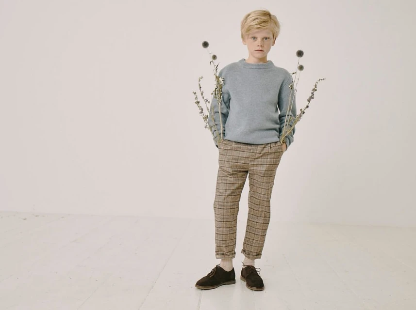 Young boy poses in studio wearing a blue sweater and plaid pants. He is holding small dry plants on the sides. Fashion shot.
