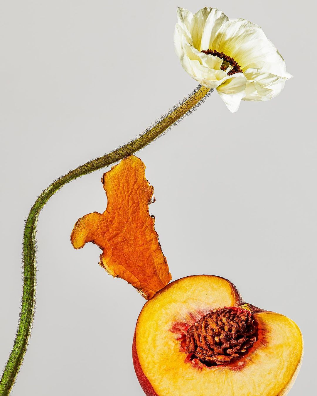 Still life photography featuring a white poppy, a piece of dried mango, and a halved peach with a visible pit against a light background.