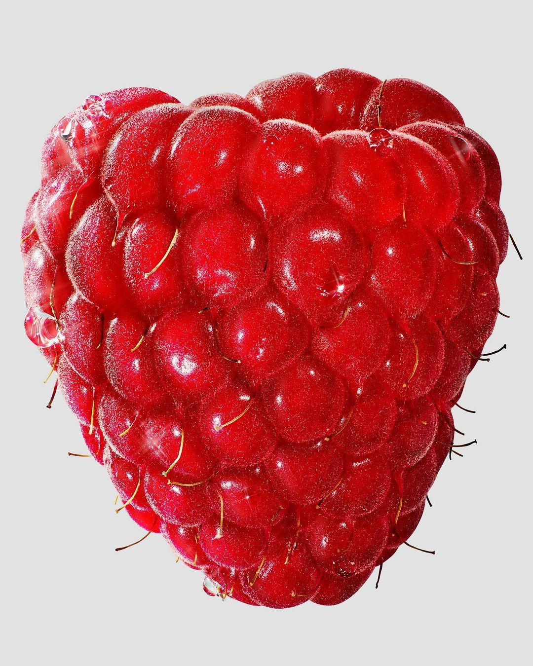 Close-up studio shot of a single, vibrant red raspberry against a light gray background, highlighting its texture and color.