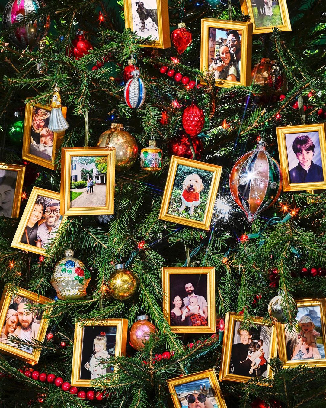 Christmas tree adorned with framed photographs and colorful ornaments creating a festive and personal holiday display.