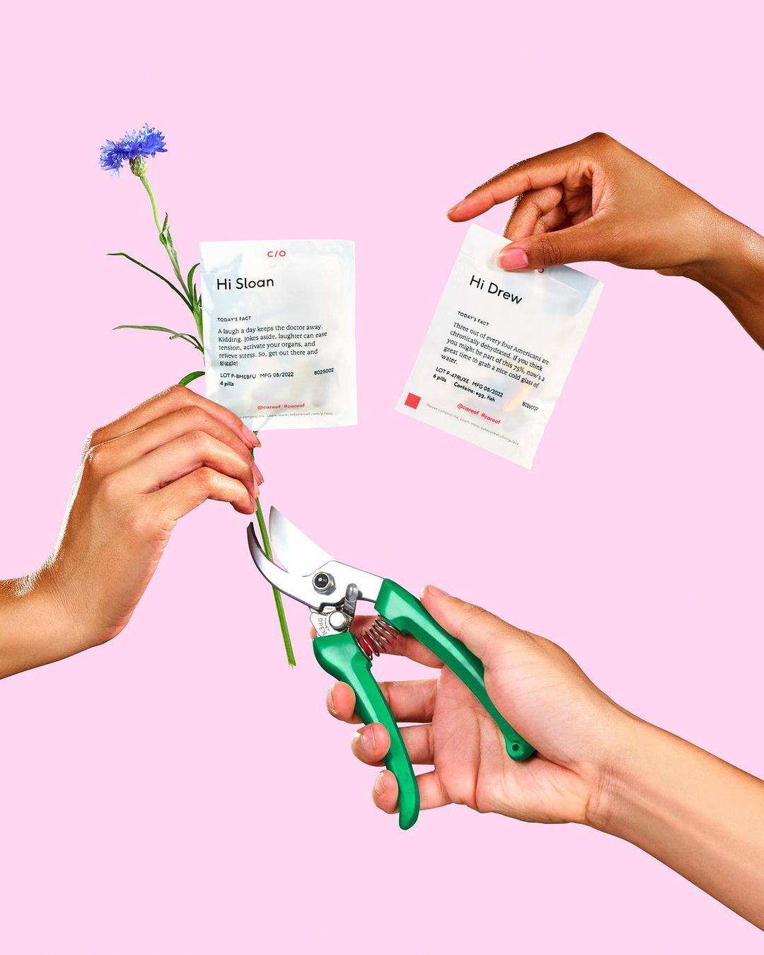 Hands holding a single blue flower, garden shears, and two personalized Cydcor product information sheets against a pink backdrop.
