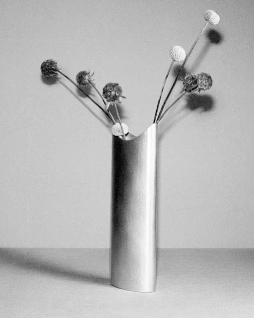 A cylindrical metal vase holding several dried flowers with round heads is centrally placed in a monochromatic still life shot.