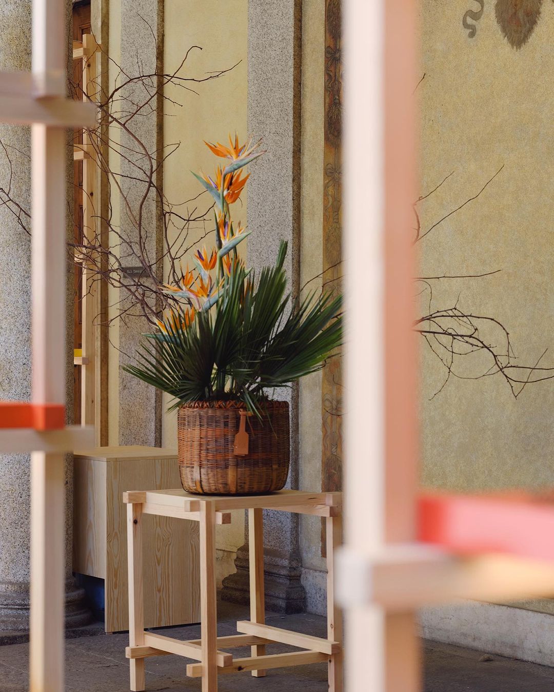 Bird of paradise flowers and palm fronds arranged in a woven basket atop a wooden table, soft daylight, and neutral background.
