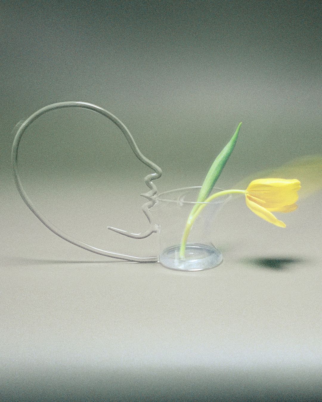 Still life of a yellow tulip in a clear vase next to a metal wire sculpture of a face on a gray surface and background.