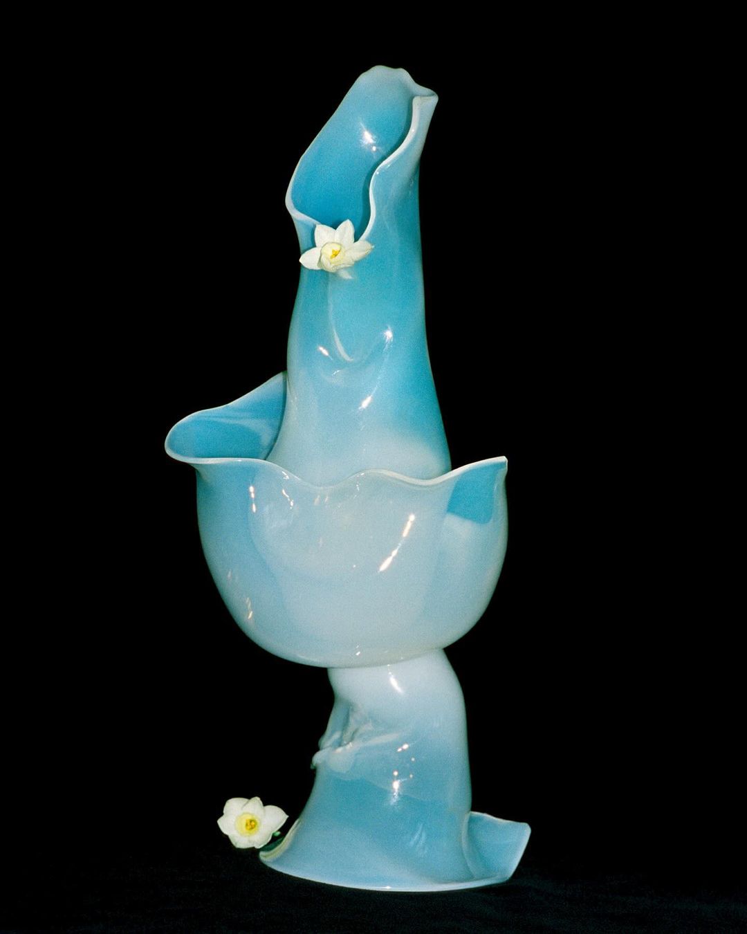 Elegant light blue glass vase featuring delicate white flower accents against a stark black backdrop in a studio lighting.