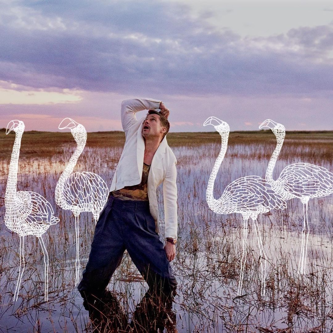 Adult male in blue trousers and white jacket standing in a field of water with illustrated white flamingo-like birds and a purple sky.