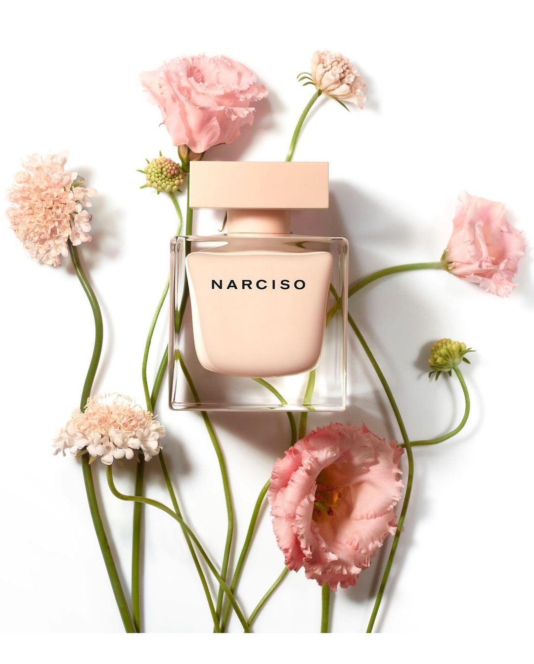 Square product photography of a glass perfume bottle surrounded by pink flowers on a seamless white background.
