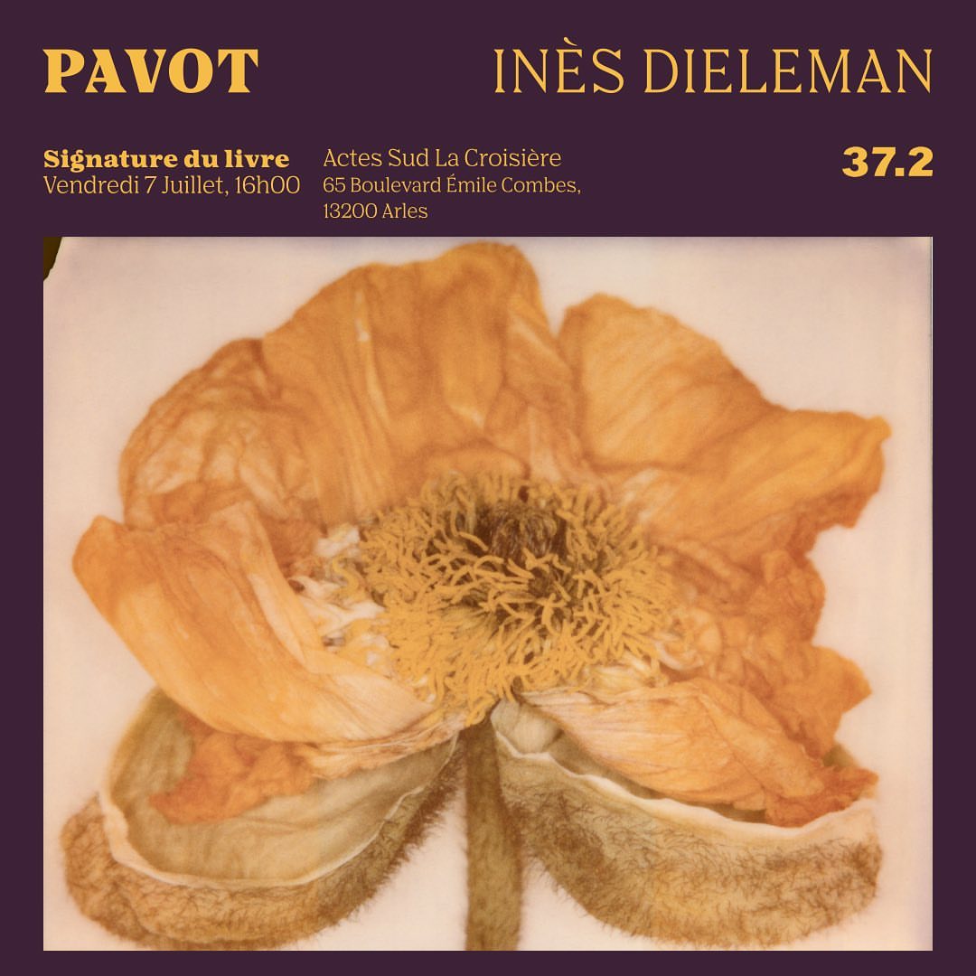 Dried flower with detailed stamen in center, presented in a graphic design with text regarding a book signing on a muted purple background.