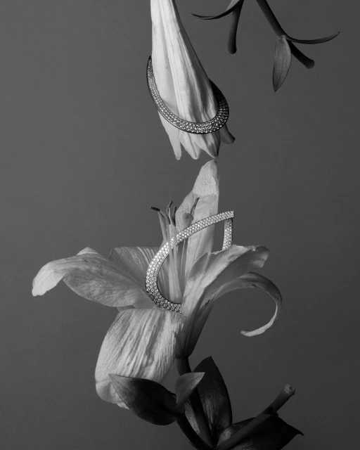 Black and white photo featuring a lily flower with a jeweled earring draped over its petals, showcasing elegant jewelry design.