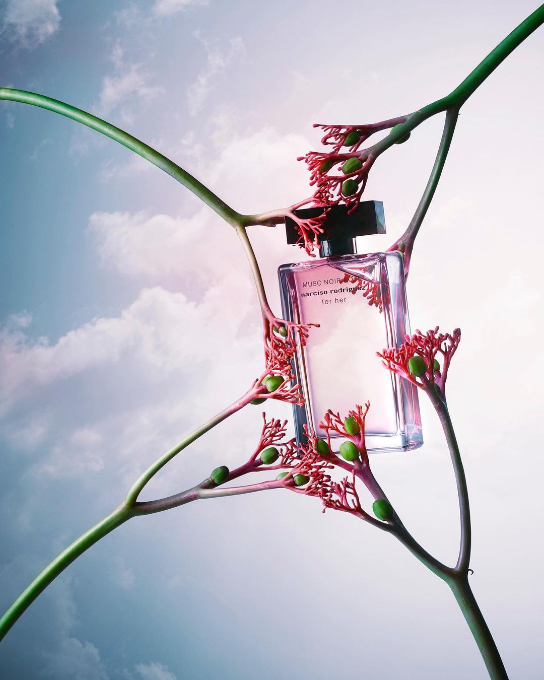 Glass perfume bottle centered in a composition with green stems and red buds against a background of blue sky and soft white clouds.