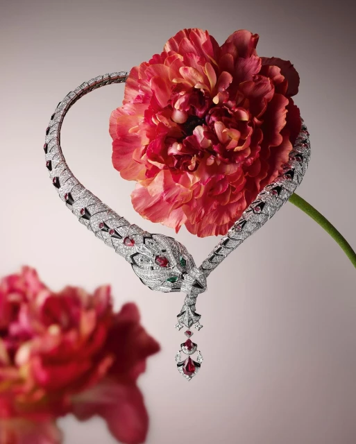 Close-up of a silver snake necklace featuring diamonds, rubies, and emeralds, intertwined with a pink ranunculus on a pale gradient background.