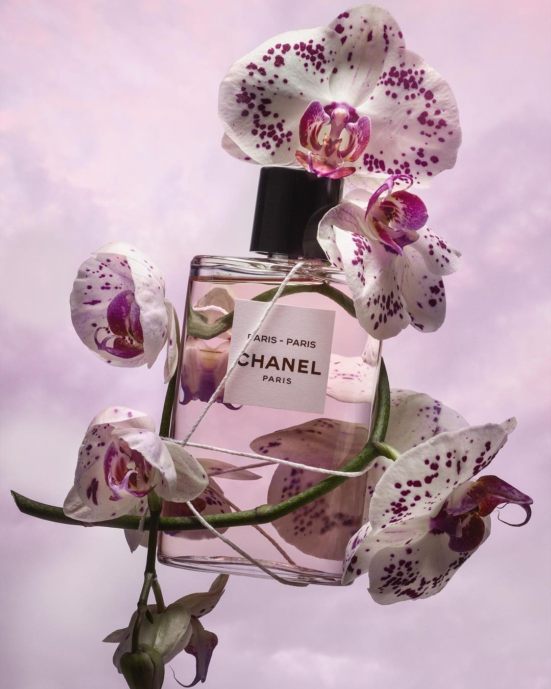 Still life shot of a Chanel perfume bottle encircled by white and purple orchid flowers against a dreamy soft purple backdrop.