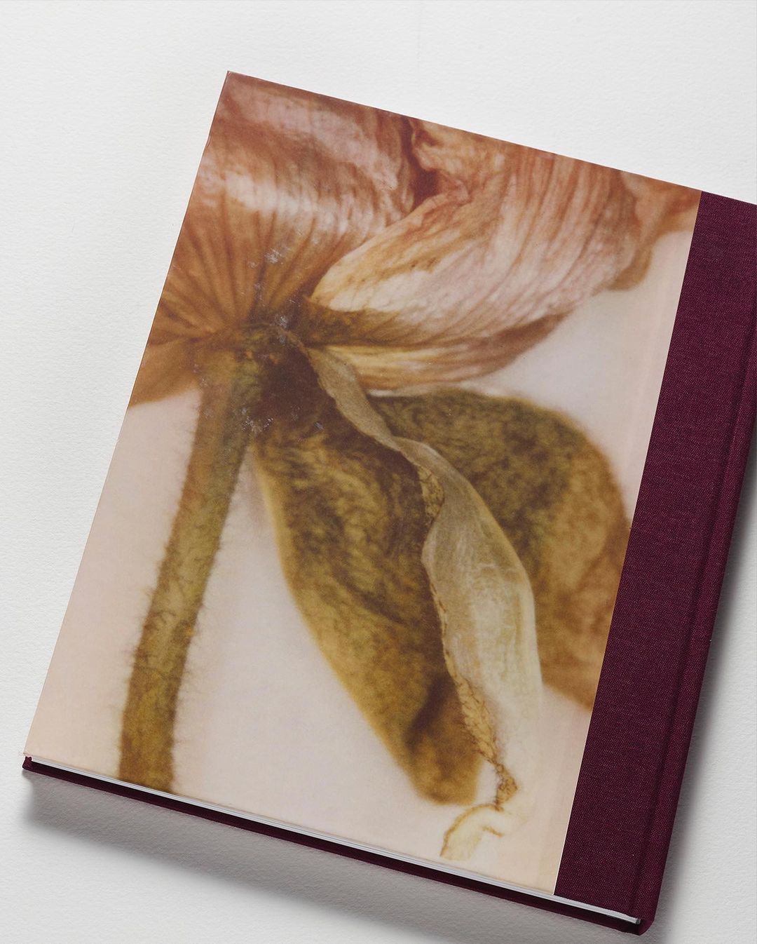 Macro shot of dried flower art on a book cover. Floral design featuring beige, brown, and neutral colors. Book is lying on a white surface.