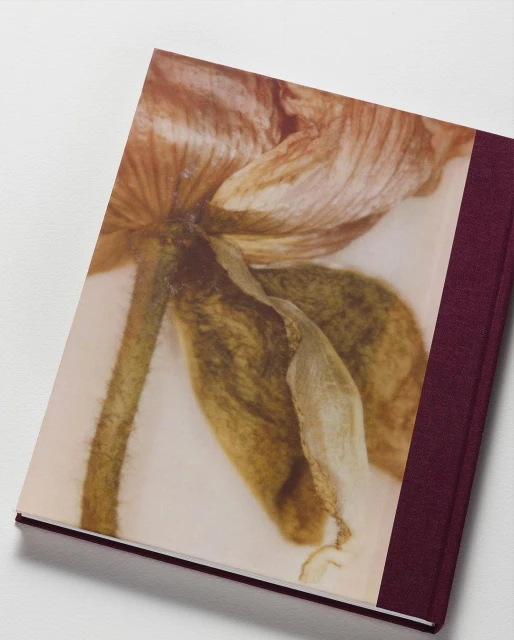 Macro shot of dried flower art on a book cover. Floral design featuring beige, brown, and neutral colors. Book is lying on a white surface.