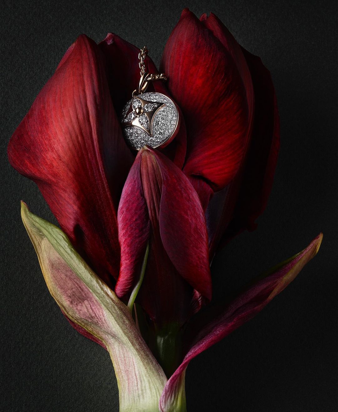 Close-up studio shot of a gold pendant with diamonds nestled in the petals of a burgundy amaryllis flower against a black background.