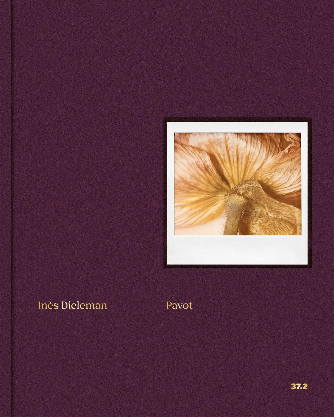 Close-up photograph of a book cover in a studio setting, featuring an image of a dried flower, set against a deep purple background.