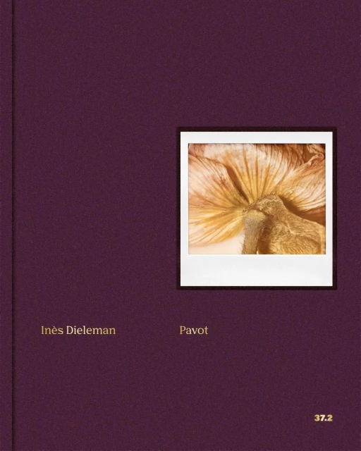 Close-up photograph of a book cover in a studio setting, featuring an image of a dried flower, set against a deep purple background.