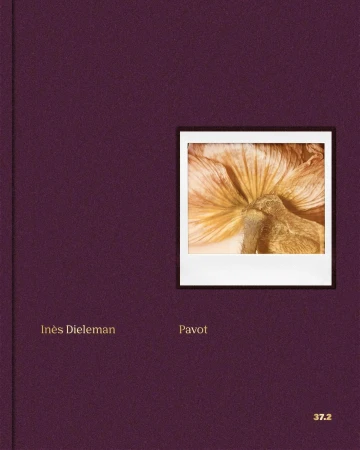 Close-up photograph of a book cover in a studio setting, featuring an image of a dried flower, set against a deep purple background.