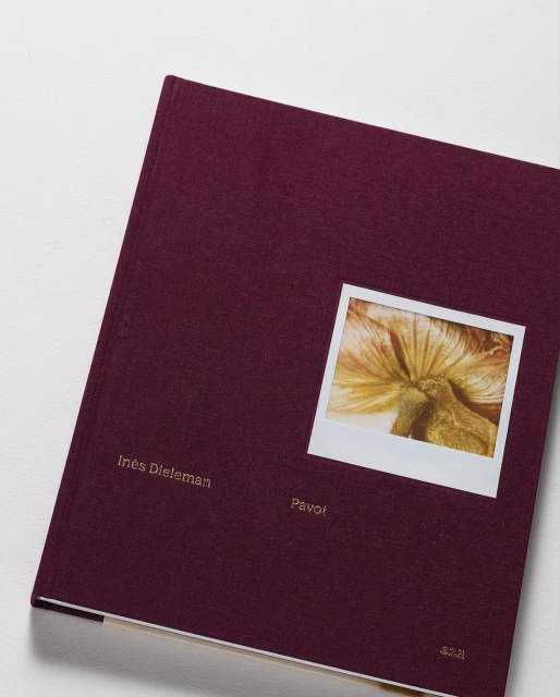 Book cover featuring close-up of plant in a square frame on a dark red book with gold text against a white surface.