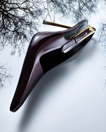 Burgundy patent-leather pump with gold heel and ankle strap buckle, set against a mottled grey and white surface with a bare tree branch.